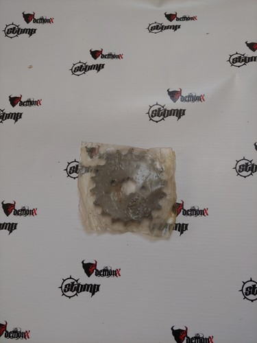 Tooth 428 17mm - 428, front
