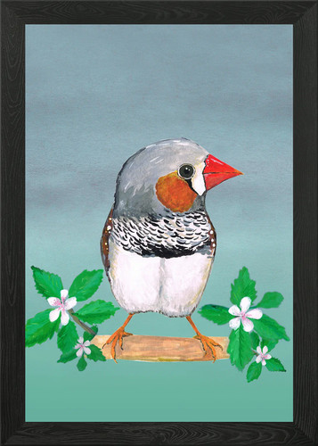 Zebra finch framed - wall, art
