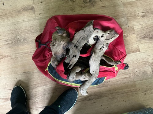 Large quantity driftwood for - large,