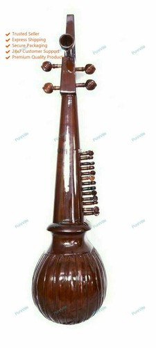 Professional classical string - professional,