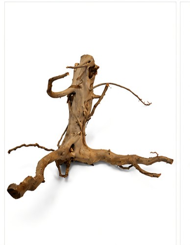 Natural spider wood driftwood - spider,