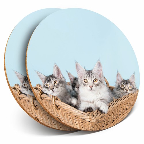 Coasters cute maine coon - 2,