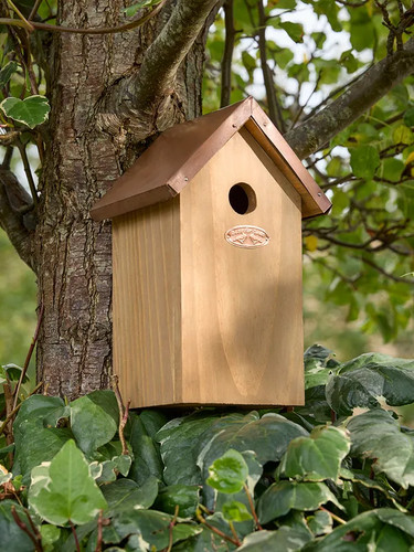 Copper roof bird - copper,