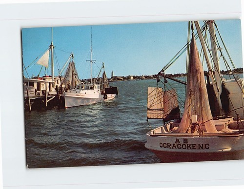 Postcard shrimp boats - boats, at