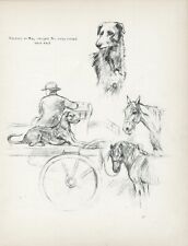 LURCHER MAN HORSES CART LOVELY VINTAGE 1933 DOG SKETCH PRINT PAGE by K F BARKER