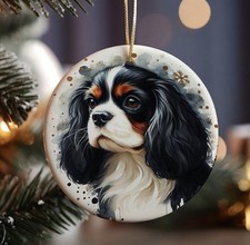 Cavalier King Charles Spaniel