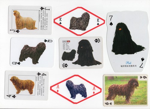 Hungarian puli single - hungarian,