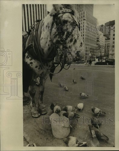 1976 press photo - 1976, the