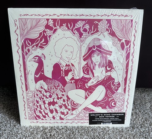 Melody echo chamber - echo,