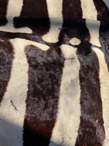 Large vintage equus - large,