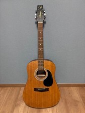Vantage VIS-1 Acoustic Guitar
