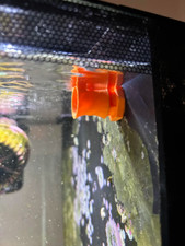 Fluval Evo 52L and Spec 60L