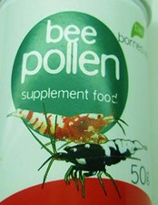 Borneo Wild Loose BEE POLLEN 50g - natural food cherry tiger freshwater shrimp