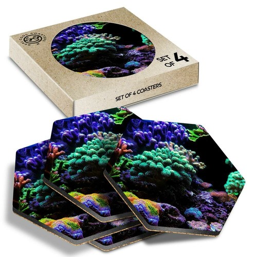 Hexagon coasters pretty - hexagon,