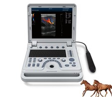 Veterinary Ultrasound Scanner