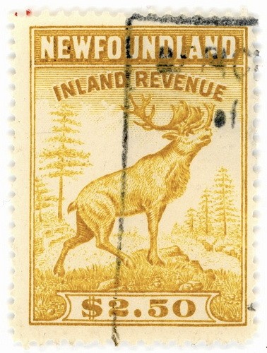 Canada revenue - canada,