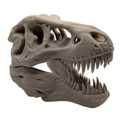 Rex skull printed high - 3d,
