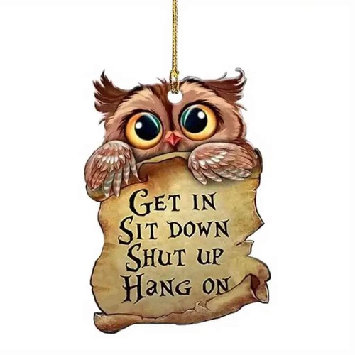 Funny owl car - funny,