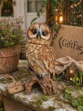 Realistic Tawny Owl Garden