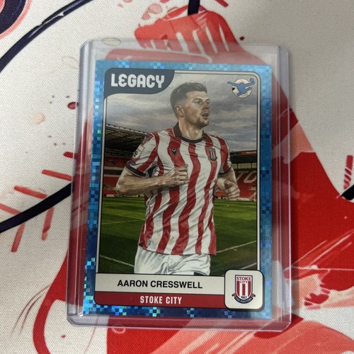 Stoke city panini efl premium - stoke,