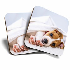 2 x Coasters - Jack Russell Terrier Dog Puppy Animals Home Gift #8286