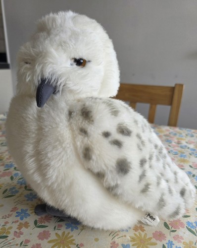 Talking harry potter - harry, hedwig