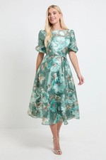 Wallis Sage Fit & Flare Dress