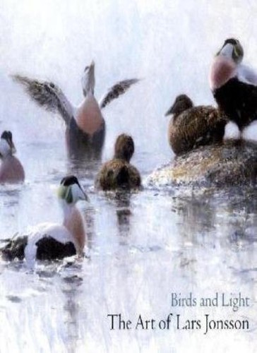 Birds and light the - and, light: