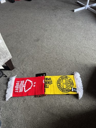 Nottingham forest fenerbahce - forest, v
