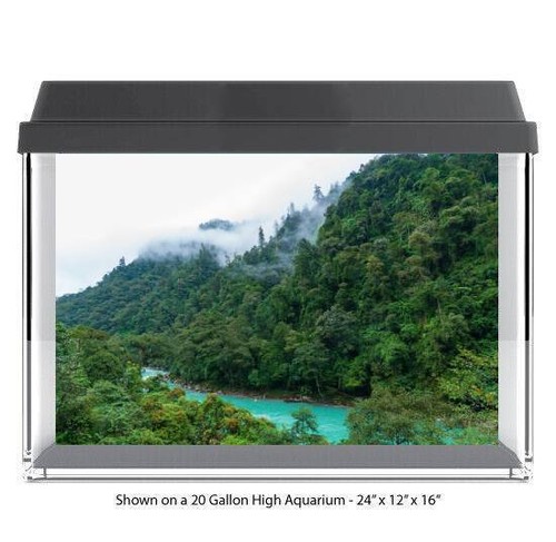 Lush rain forest - lush,