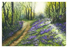 Bluebell Wood Mounted Giclée
