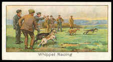Boguslavsky - 'Sports Records (S2)' (1925) - #37 - Whippet Racing - The Docker