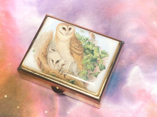 Barn owl with - barn, and