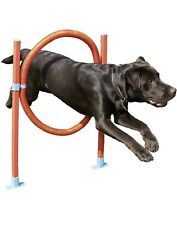 Dog Agility Training Equipment Jump includes Bag