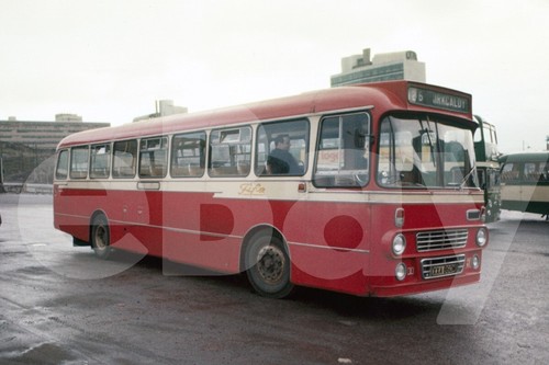 Bus photo alexander - photo,