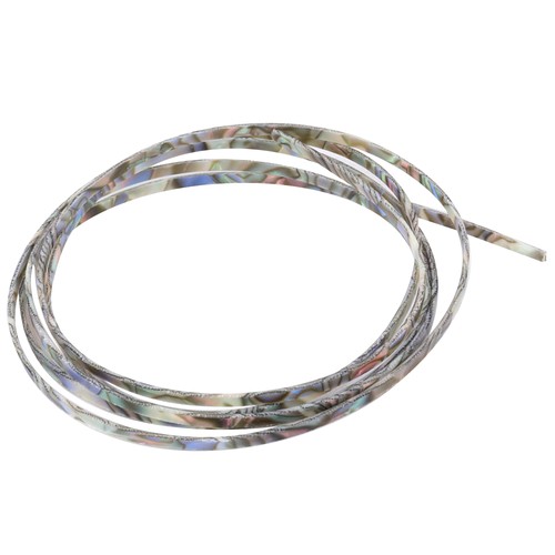 Musiclily abalone shell - abalone,