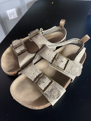 Oshkosh gray suede buckle - gray,