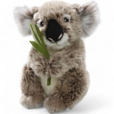 Koala bear with eucalyptus