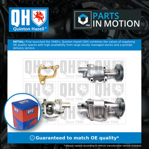 Water pump fits fiat - fiat, seicento