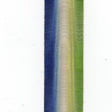 Medal Ribbon 2nd. World War