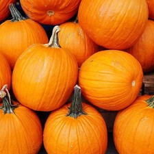 Pumpkin jack lantern - pumpkin, seeds