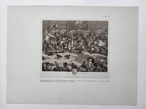 Old antique vintage print 1924 - antique,