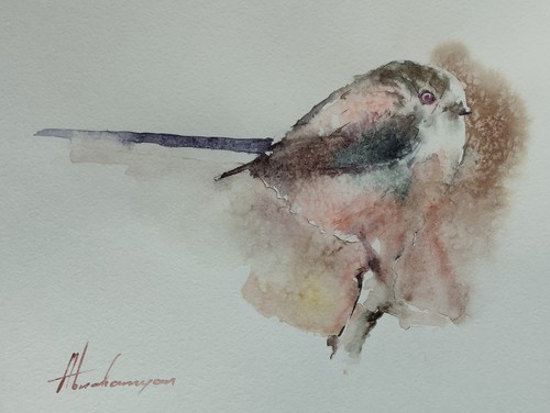 Long tailed tit - ,, birds