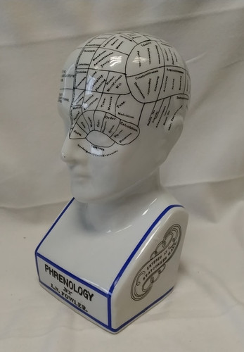 Phrenology bust fowler - bust, l.n.