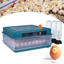 Automatic Egg Incubators for