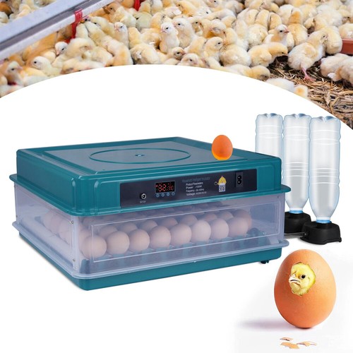 Automatic egg incubators for - automatic,