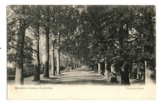 Cambridgeshire. Brookland