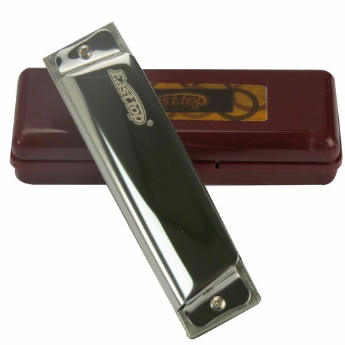 Easttop 10hole diatonic - 10hole,