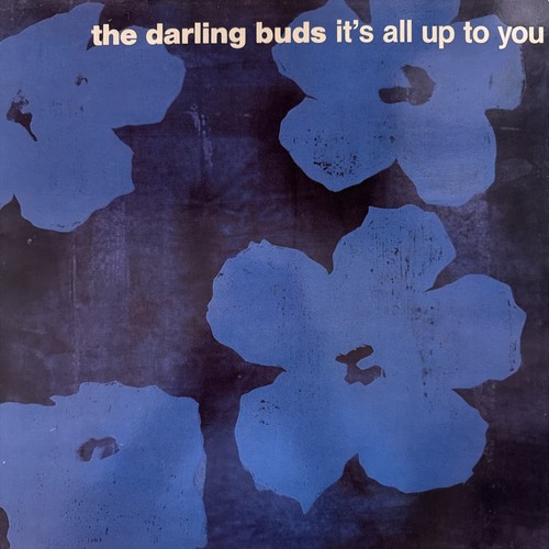 The darling buds its - darling, up