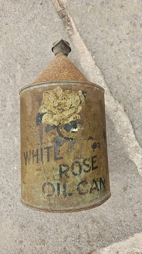 Vintage white rose - white, oil